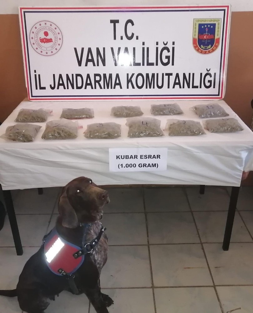 Van’da bin gram kubar esrar ele geçirildi 