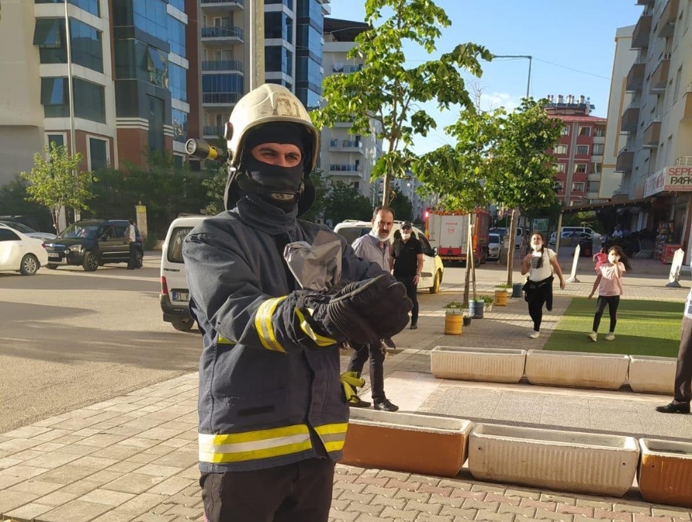 Van’da bir iş yerinde yılan paniği 