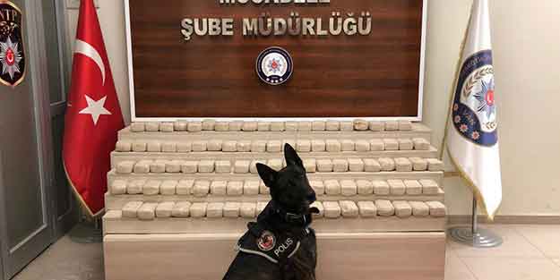 Van'da eroin operasyonu