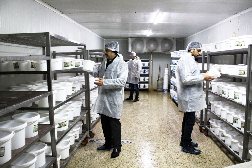 Van’da gıda denetimi seferberliği 