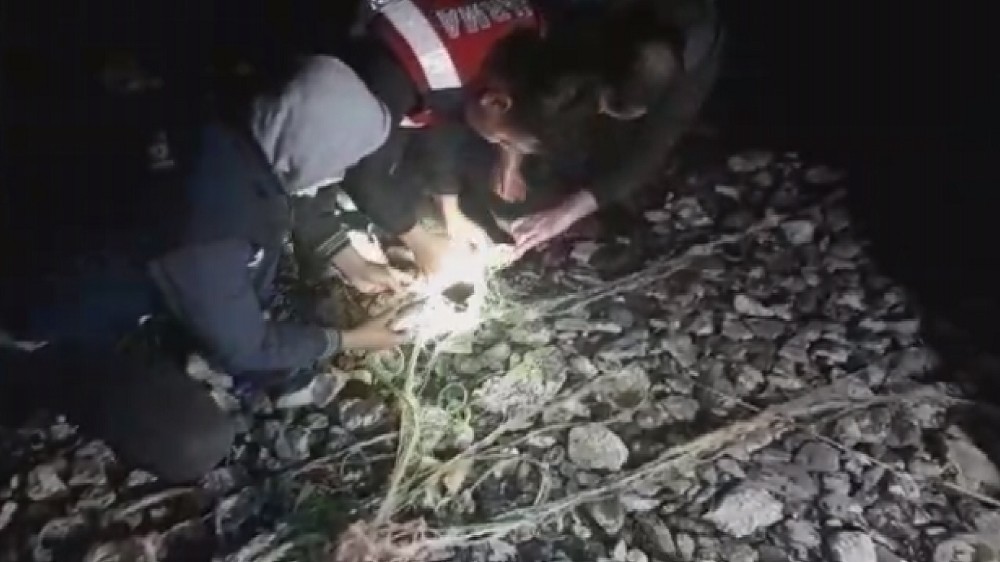 Van’da kaçak avcılıkta ele geçirilen canlı balıklar suya bırakıldı 