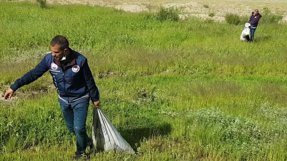 Van’da kaçak avlanmış 2 ton balığa el konuldu 