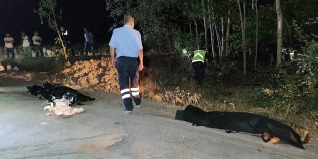 Van'da kaçak göçmen taşıyan minibüs kaza yaptı! Çok sayıda ölü ve yaralı var