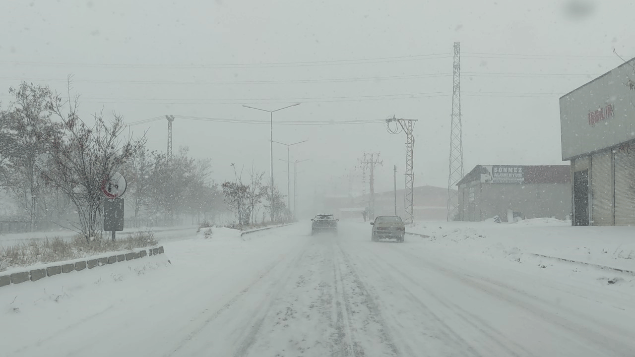 Van'da kar ve sis hayatı olumsuz etkiledi!