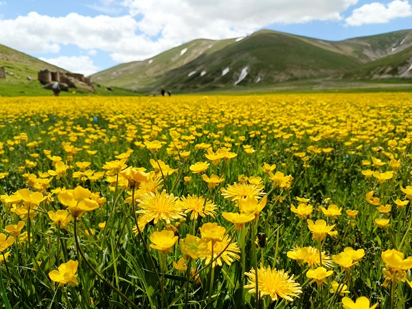 Van'da kartpostallık manzara hayran bıraktı