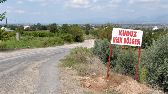 Van'da köpeğin ısırdığı koyunu yiyen ailede kuduz şüphesi