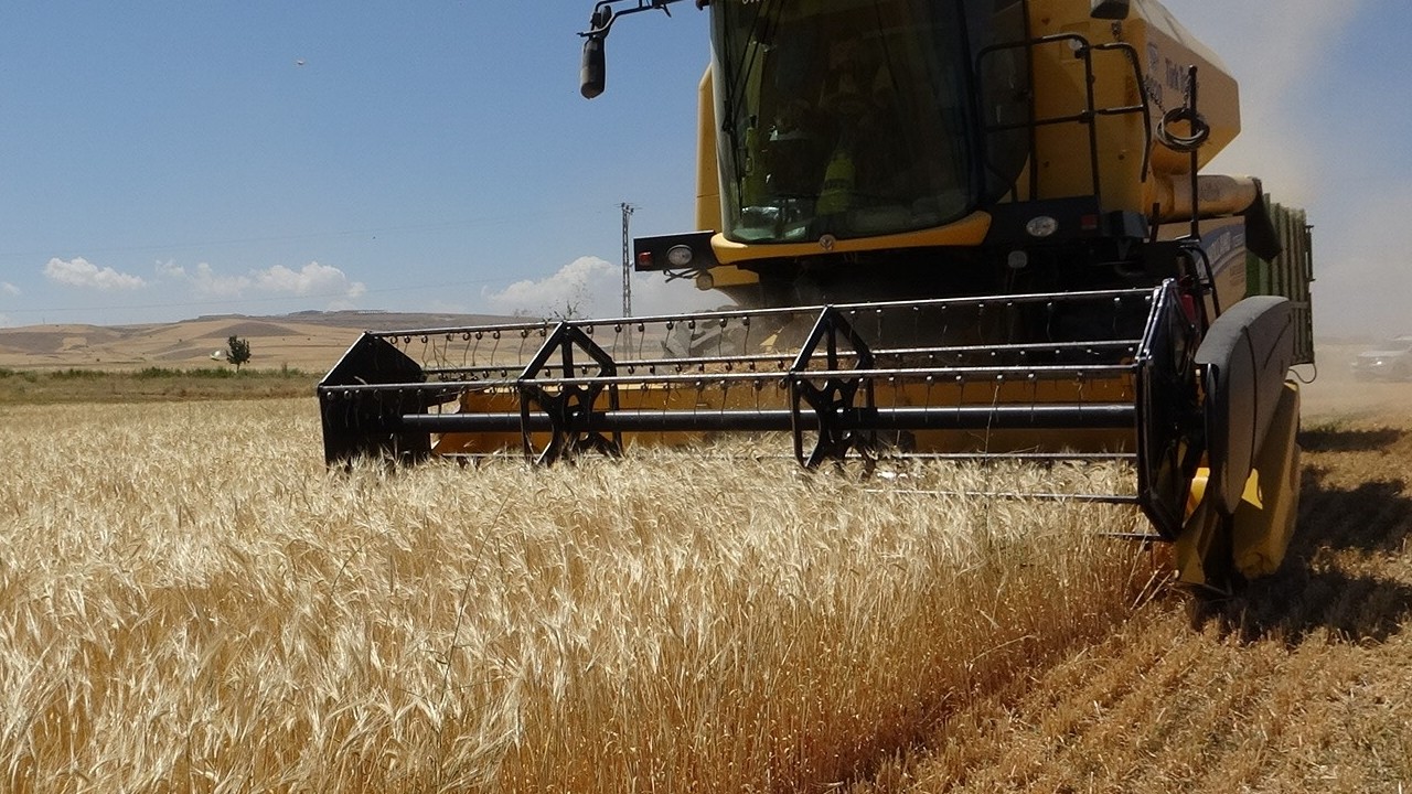 Van’da kuraklık çiftçiyi vurdu