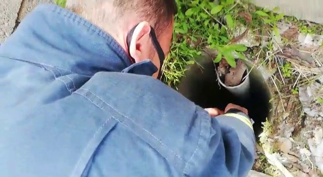 Van’da kuyuya düşen yavru keçiyi itfaiye kurtardı 