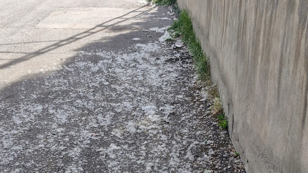 Van’da Polenler İnsanları Hastanelik Ediyor: Binlerce Kişi Mağdur, Yetkililere Acil Çağrı