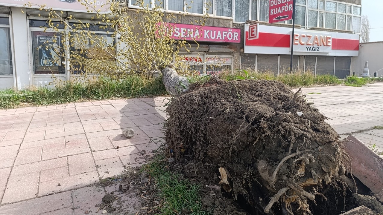 Van’da şiddetli fırtına hayatı felç etti! Ağaçlar söküldü, elektrikler kesildi