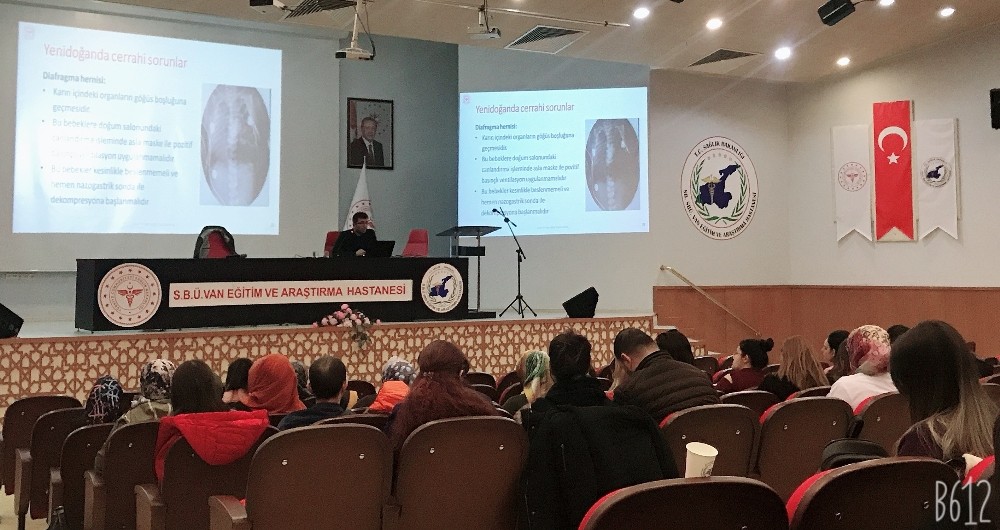 Van’da ‘Temel Yenidoğan Bakım Eğitimi’ verildi 