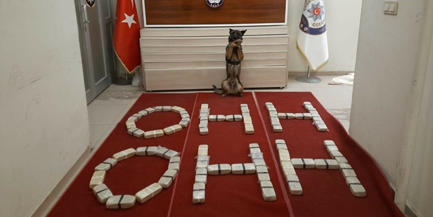 Van'da terör örgütü PKK'ya uyuşturucu darbesi