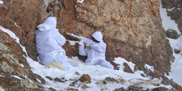 Van'da teröristlerin kış üslenmesine operasyon