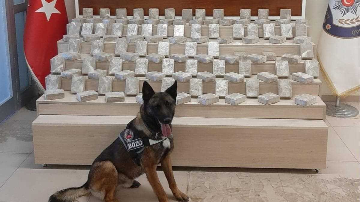 Van’da uyuşturucu taciri yakalandı
