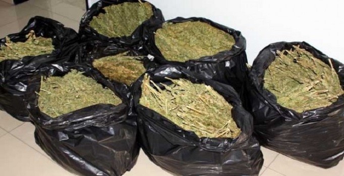 Van'da uyuşturucu tacirlerine operasyon