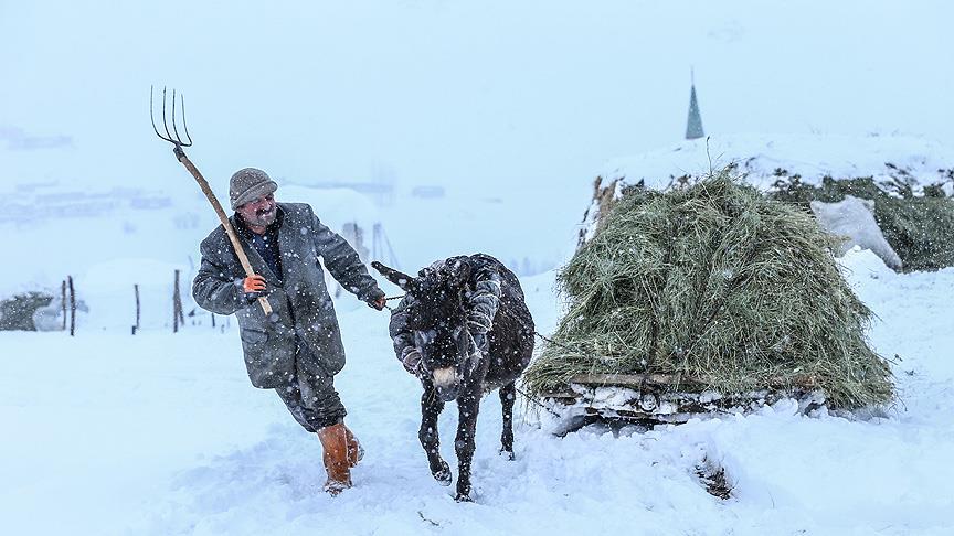 Van'da uzun kış, besicileri zor durumda bıraktı