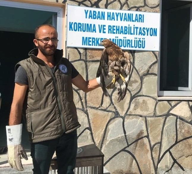 Van’da yaralı kuşlar tedavi altına alındı 