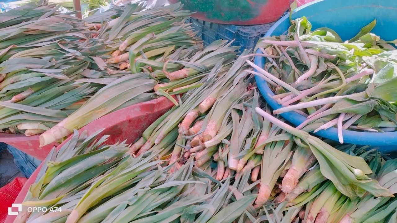 Van’da Yöresel Otlara Yoğun İlgi Uçkun ve Diğer Şifalı Bitkiler Tezgâhlarda Yerini Aldı