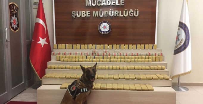 Van'da zehir tacirlerine izin yok