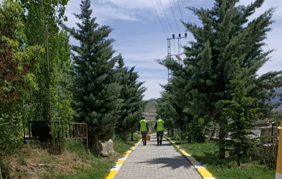 Van’daki mezarlıklarda peyzaj çalışması 
