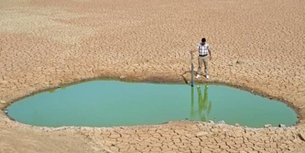 Van'dan acı fotoğraf!