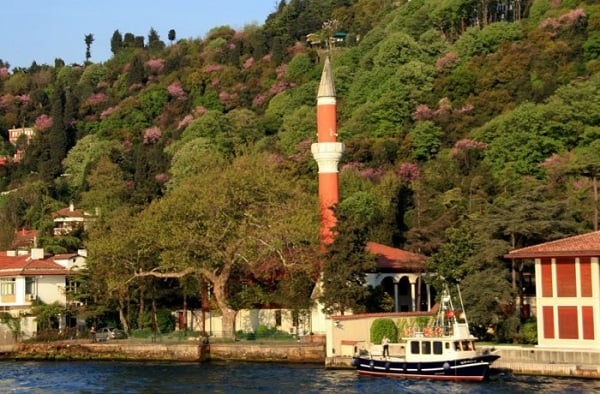 Vaniköy Camii nerede? | Vaniköy Cami restore edilecek mi?