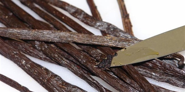 Vanilya mutlu ediyor!