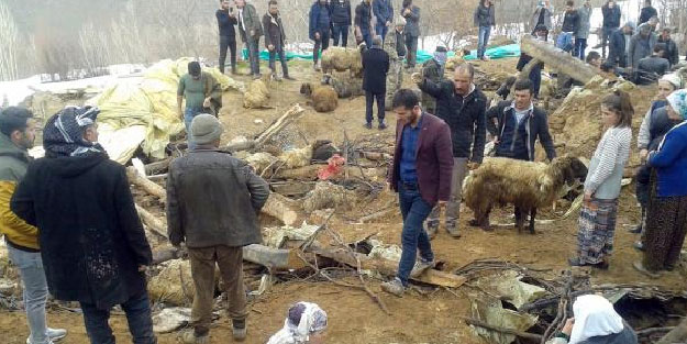 Van'ın Çatak ilçesinde kerpiç ahır çöktü, 360 küçükbaş telef oldu