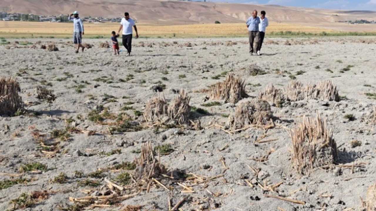 Van’ın incisi Heybeli Gölü kurudu! Doğa çığlık atıyor