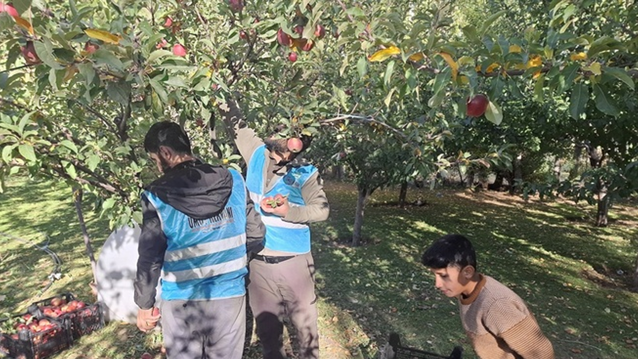 Vanlı hayırsever bahçesindeki tüm mahsulü Gazze'ye bağışladı!