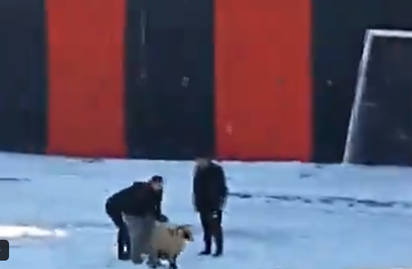 Vanspor-Karacabeyspor maçında şaşırtan olay! Kale arkasında 2 kurban kesildi