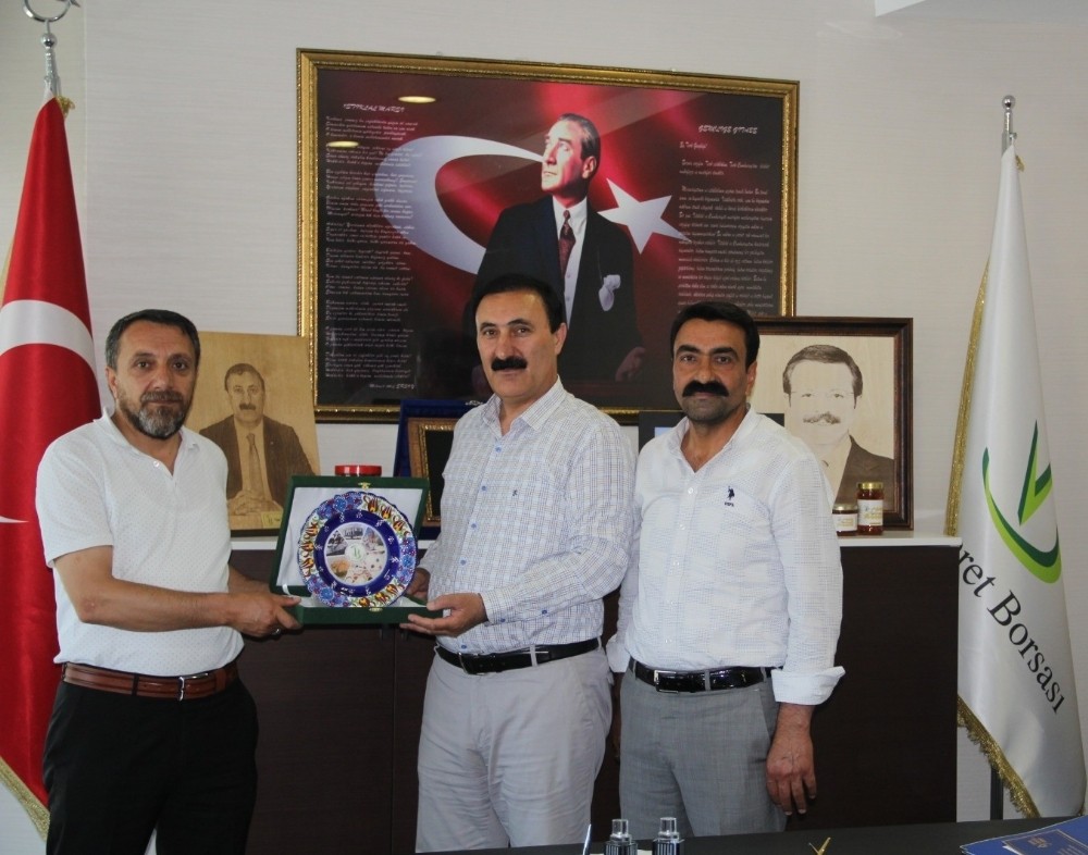 VANTB üyelerinin canlı hayvan ihracat başarısı 