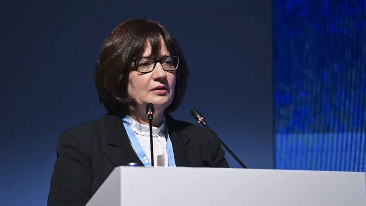 Varank: Tek bir ülkenin gücü yetmez! İklim krizi ancak imeceyle çözülür