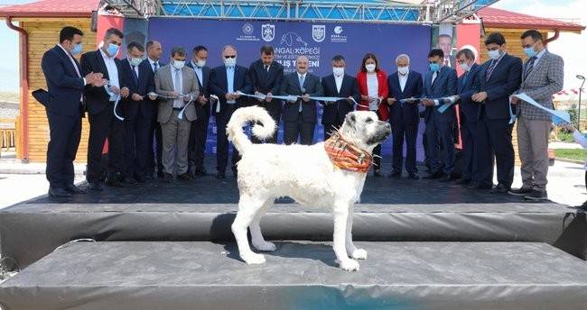 Varank: YHT seferleri ile Sivas’ın ekonomisi daha da canlanacak