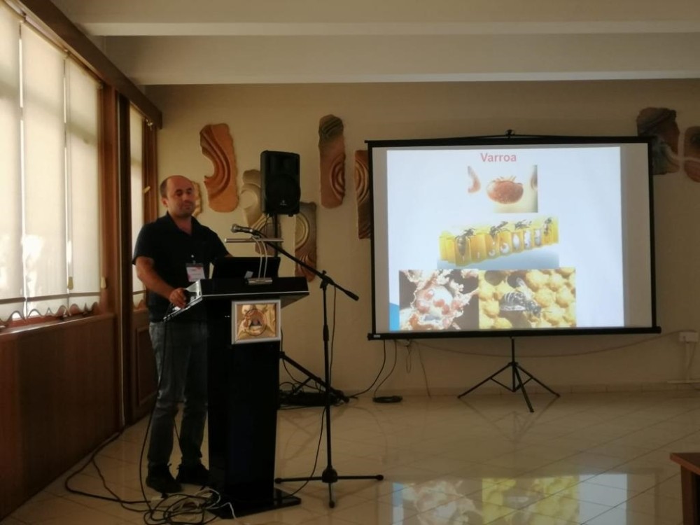 “Varroa, önemli bir arı ektoparazitidir” 