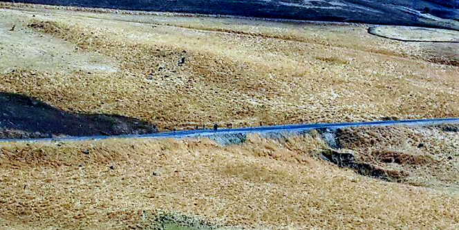 Tuzaklanmış bomba imha edildi