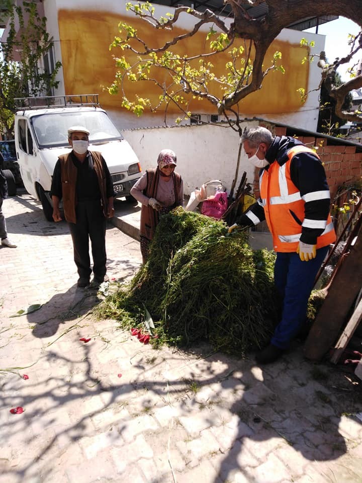 Vatandaş evden çıkamayınca, ineklerin otunu zabıta biçip getirdi 