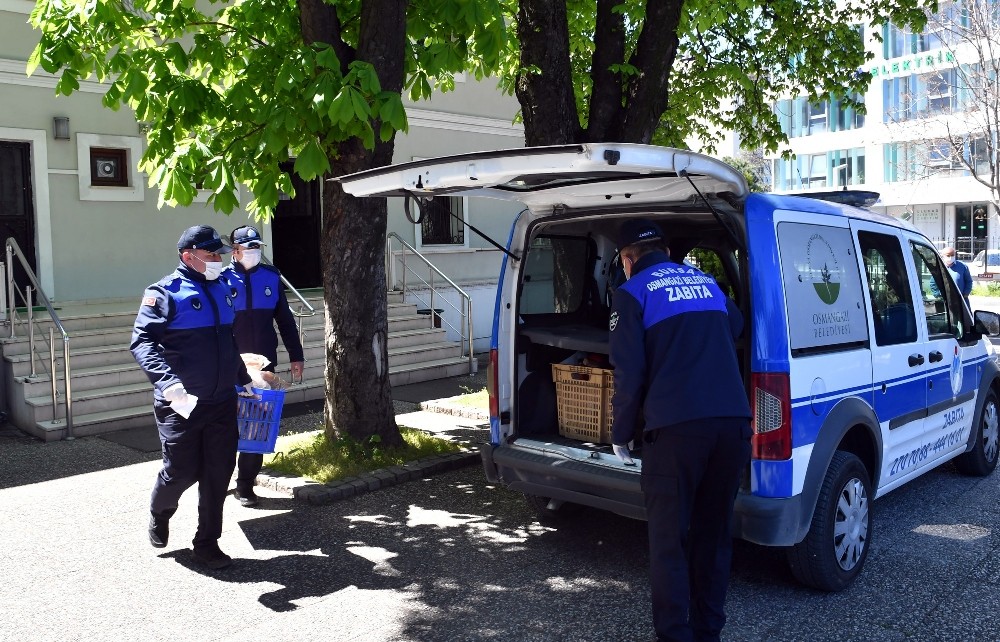 Vatandaş evinde, Osmangazi hizmette 