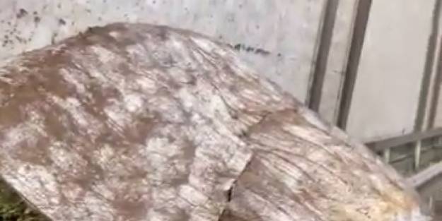 Vatandaş İBB'ye hesap sordu: Milletin parasıyla yapılanı niye yıkıyorsunuz
