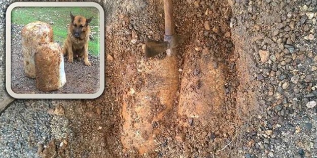 Vatandaş ihbar etti, hain plan bozuldu!