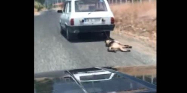 Vatandaş isyan etti! Arabayı durdurup...