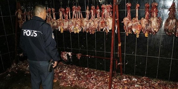Vatandaş ucuz kurtuldu, görüntüler mide bulandırdı
