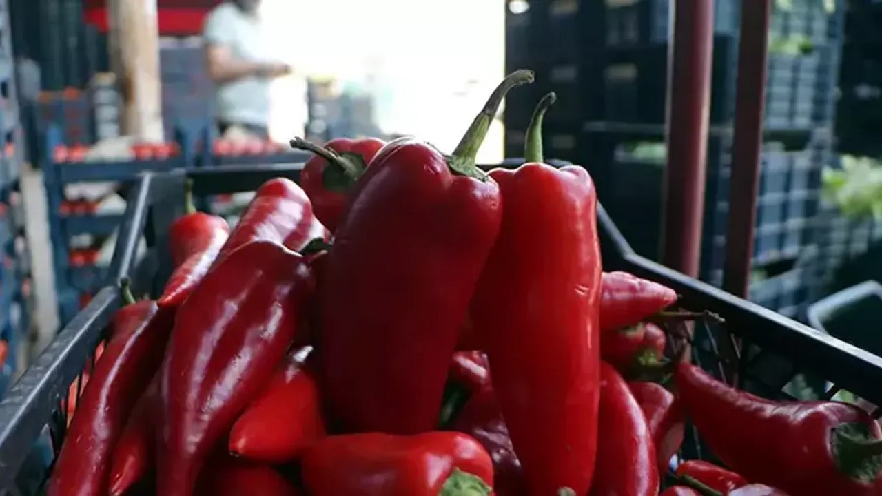 Vatandaşa acımayana devlet de acımıyor Fahiş biber satışına okkalı ceza