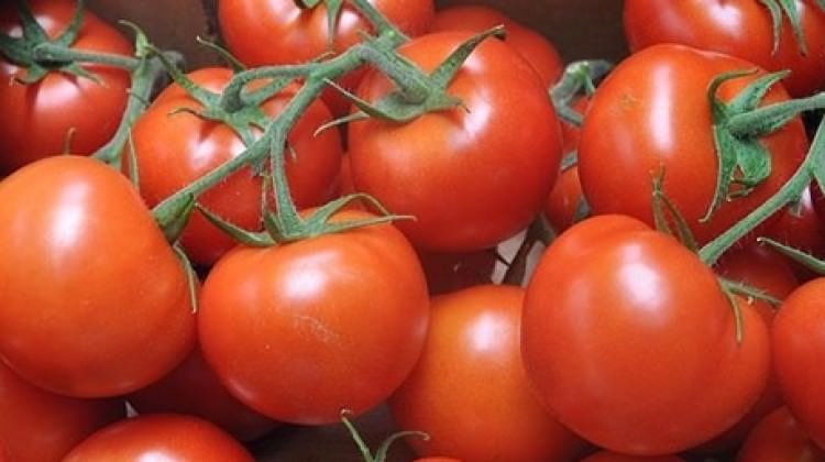 Vatandaşa uyarı! Pahalıya sakın almayın