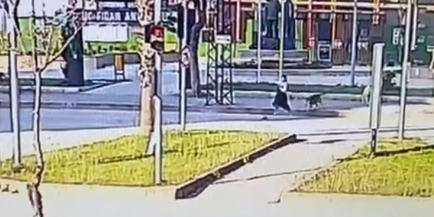 Vatandaşın canı bu kadar değersiz mi? Başıboş köpeğin kovaladığı genç kıza otomobil çarptı