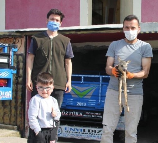 Vatandaşın dikkati yavru karacaları kurtardı 