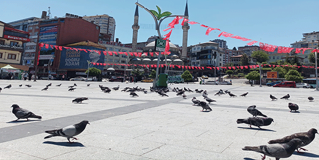 Vatandaşın ‘kuş pisliyor’ şikayetine belediyeden plastik çözüm!