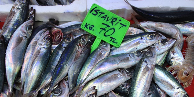 Vatandaşlar balığa yöneldi