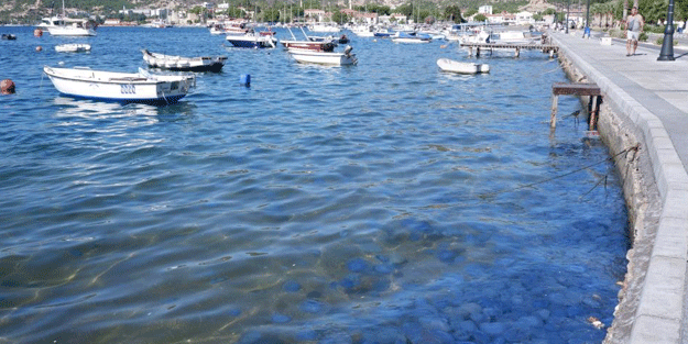 Vatandaşlar daha da tedirgin olacak! Denize kamera konulunca her şey ortaya çıktı
