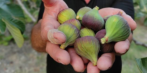 Vatandaşlar endişeli! Avrupa'ya gitmeye hazırlanırken dökülmeye başladılar